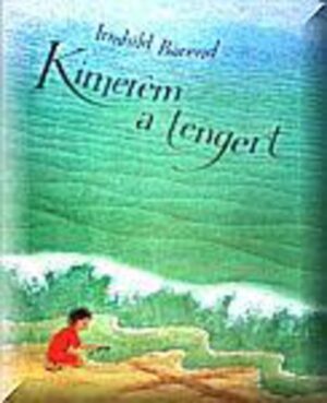 Kimerem a tengert - antikvár