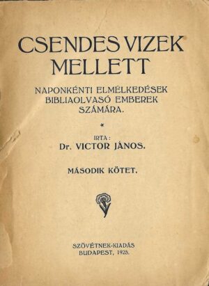 Csendes vizek mellett (Dr. Victor János) - antikvár