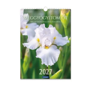 2027 Nagy falinaptár – Meggyógyítom őt (virágos)