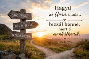Könyvjelző
