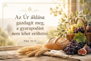 Könyvjelző